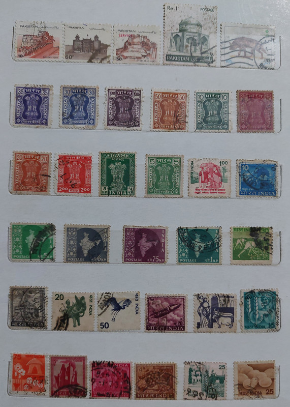 SF (13) - Copy