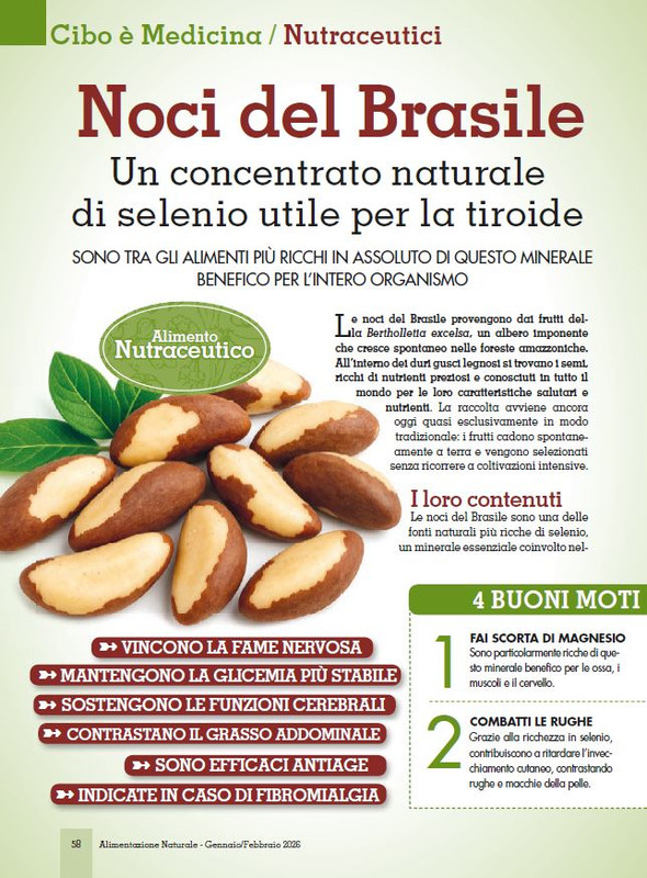 Alim Nat Gen Feb 2026 (7)