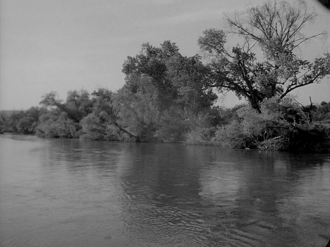 vlcsnap-2023-02-04-12h18m39s195