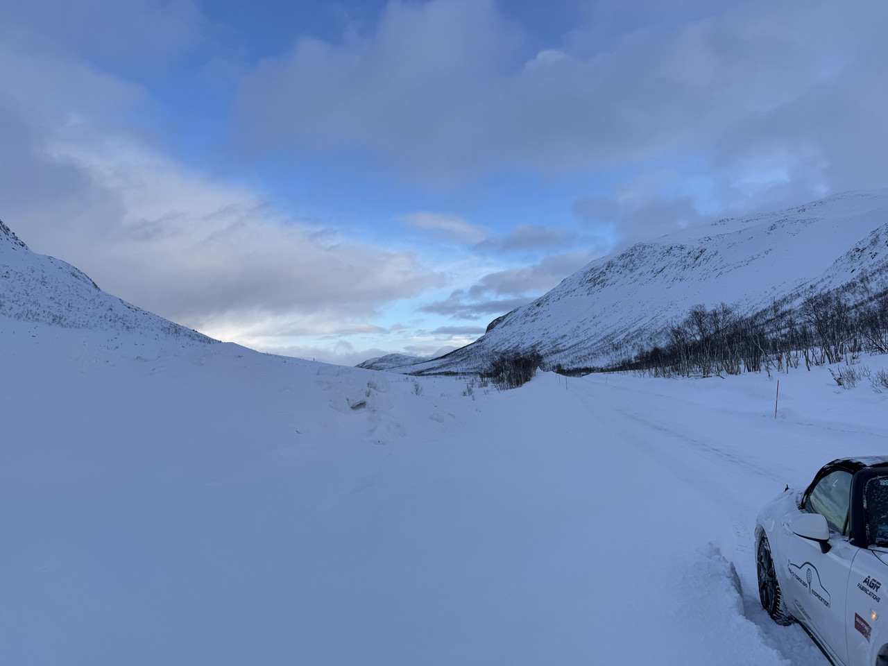 [Immagine: IMG-8289.jpg]