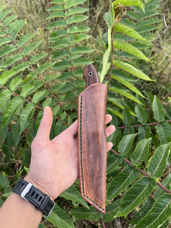 5ABD2D2F-398A-4556-B96E-A8B80CD6854C