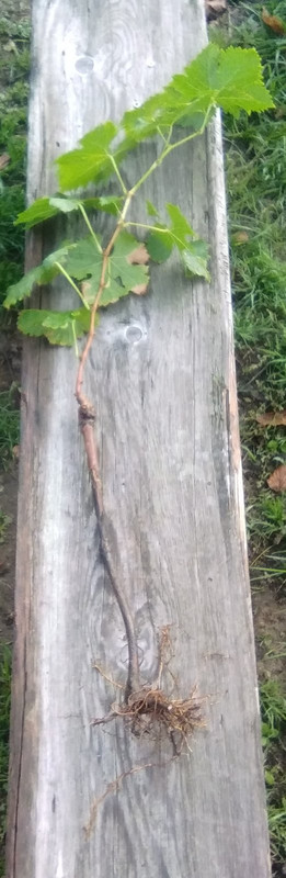 IMG_20220913_074035~2