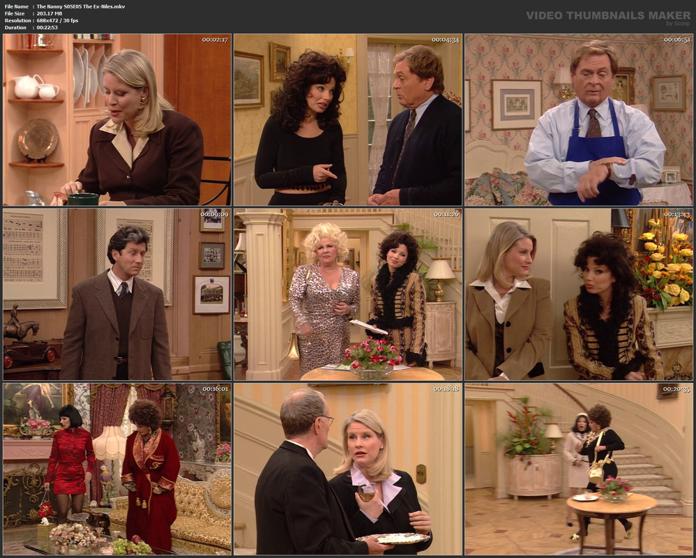 The Nanny S05E05 The Ex-Niles.mkv