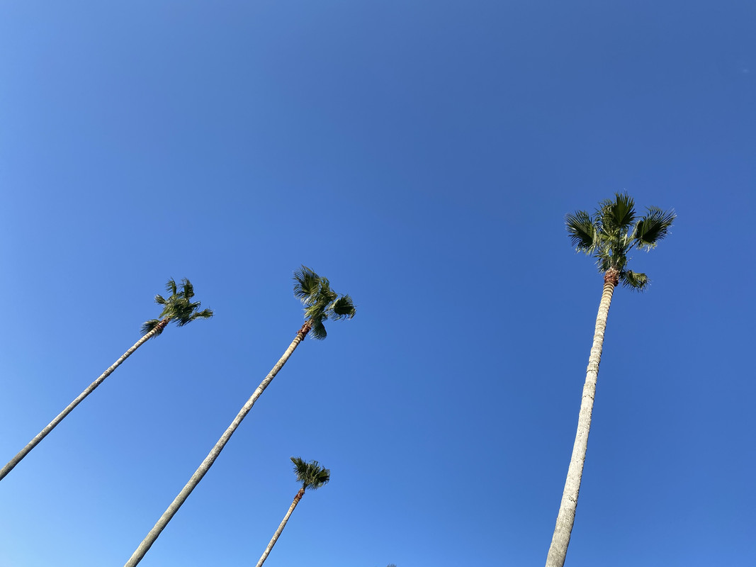 0E8804FF-20D4-408A-8FAE-A6A6769BC895