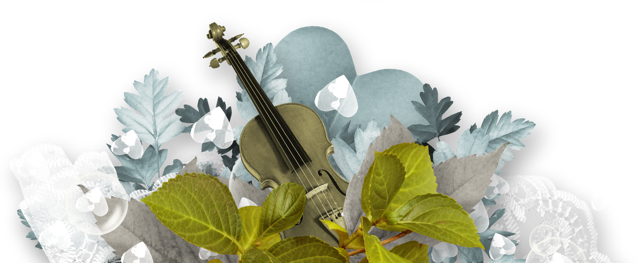 Maguette_NothingFades_Border4