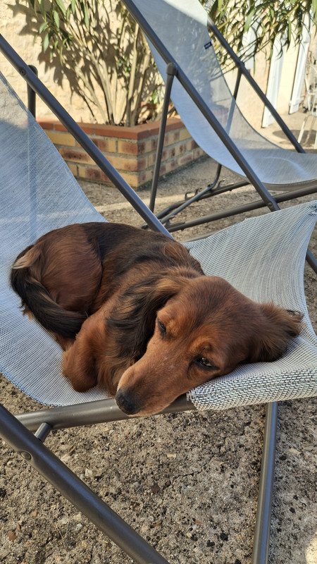 [Image: 20250407-173428.jpg]