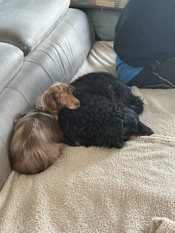 [Image: IMG-2564.jpg]