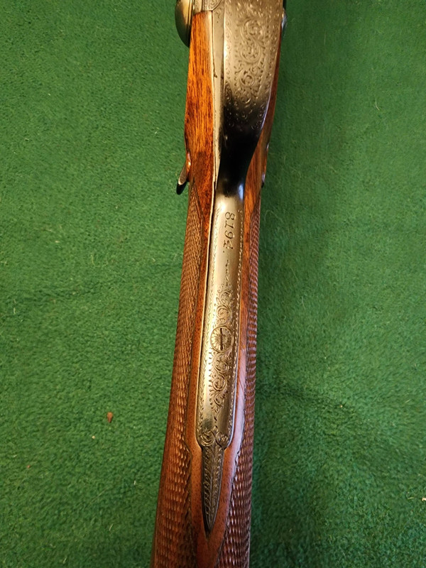 [Linked Image from i.postimg.cc]