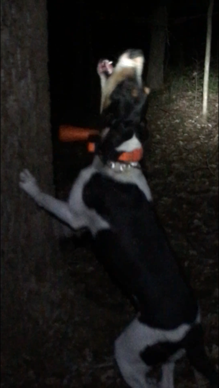 3F35F504-1F0A-4AFC-9E11-2204FA17147D