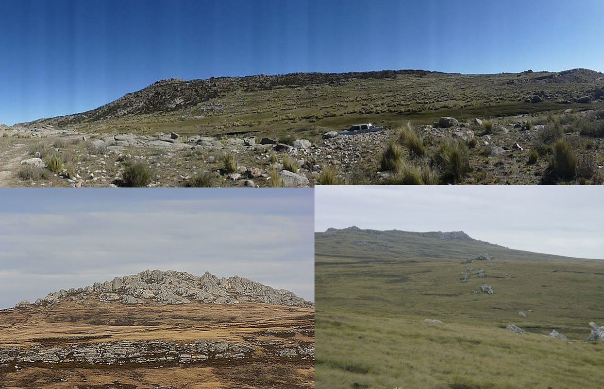 Monte Longdon