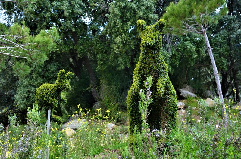 EL BOSQUE ENCANTADO-6-4-2013-MADRID - Paseando por España-1991/2024 (31)