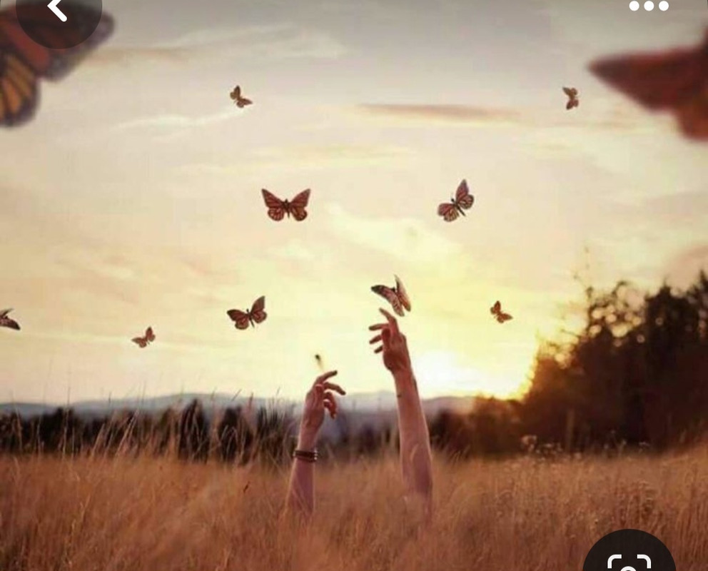 Screenshot_20231127_221615_Pinterest