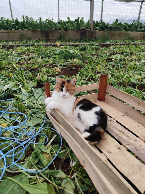 photo 3 2026 04 24 10 13 31