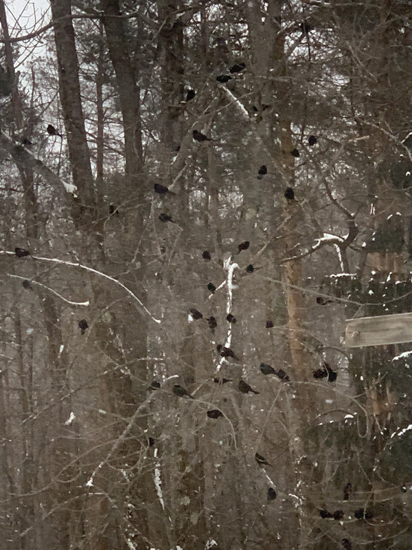 A050F35E-B980-47B2-A038-F705F226E776