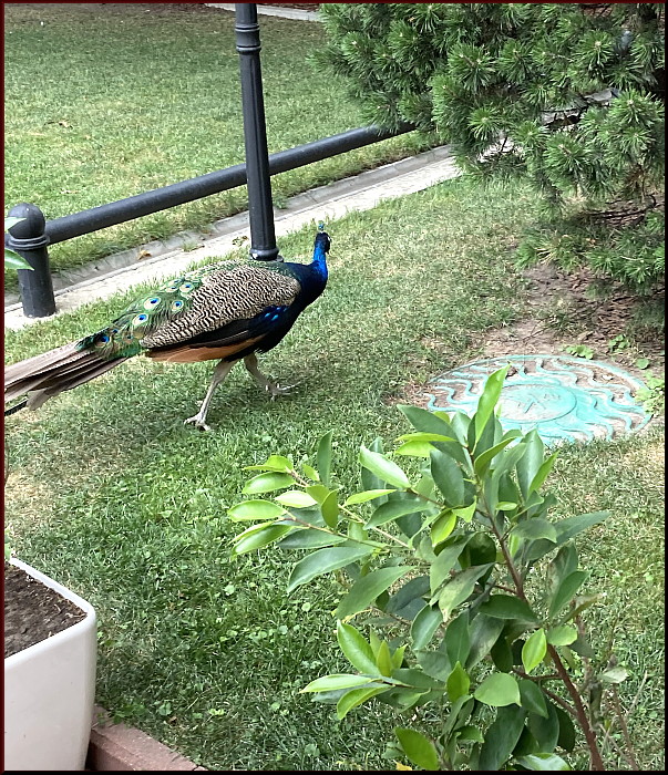 https://i.postimg.cc/QMfC4spp/30.jpg