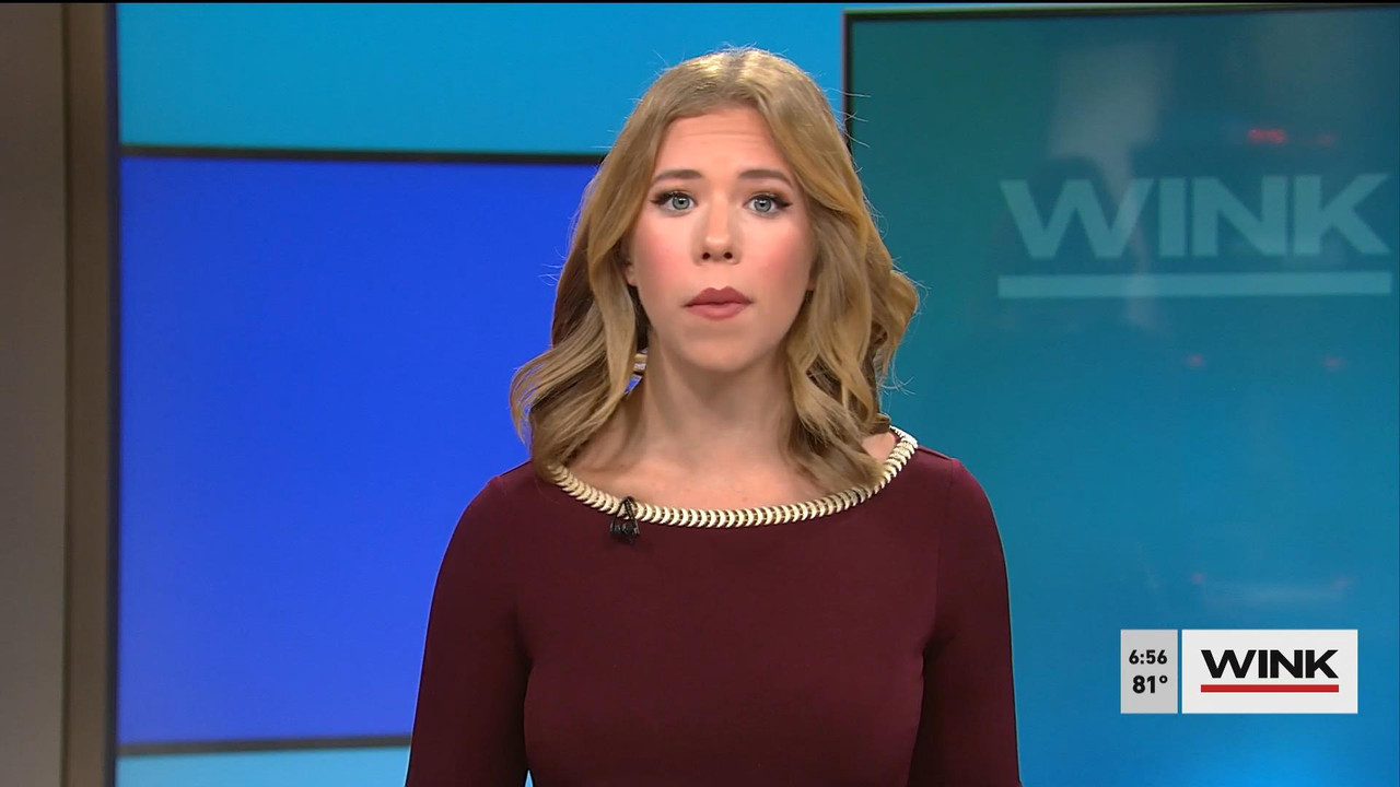 08.01 - 11.00.00 - WINK News @ 6 00AM Sunday. Local news, sports and ....ts_snapshot_00.43.02_[2021.