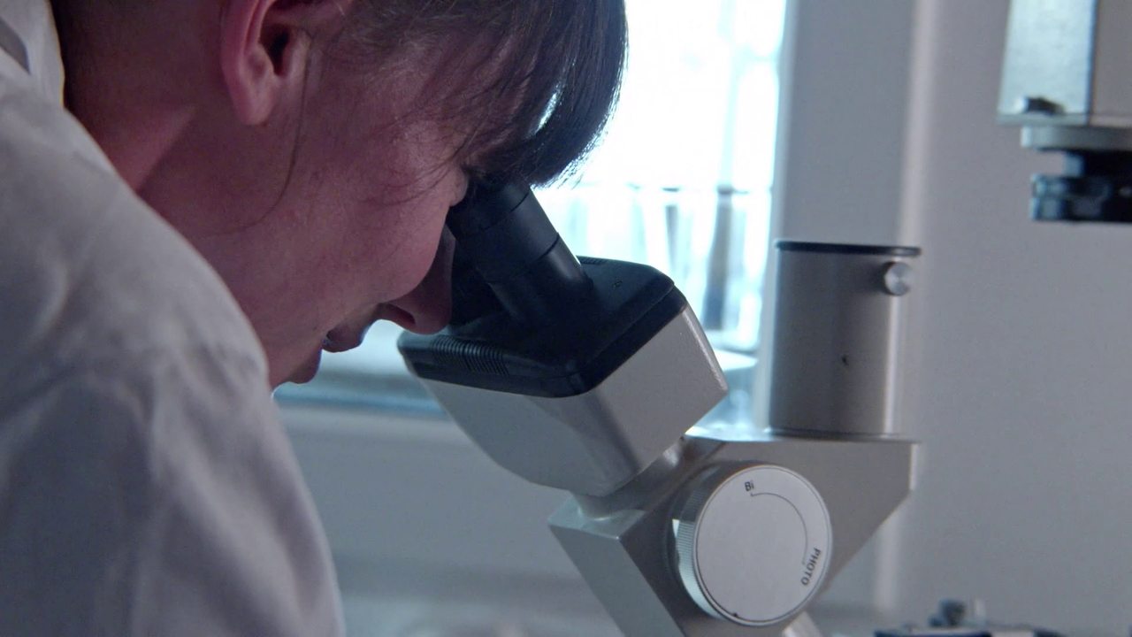 vlcsnap 2026 02 17 10h19m46s269