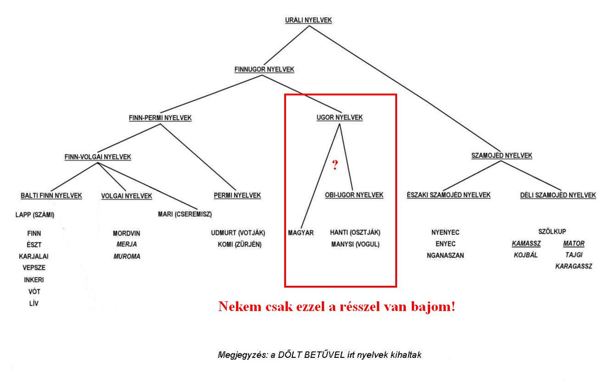 02-Egy-jobb-nyelv-szeti-csaladfa.jpg