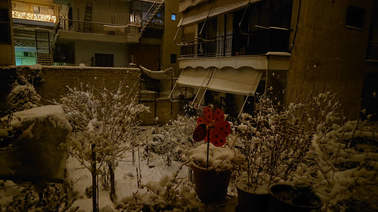 DSC-0069.jpg