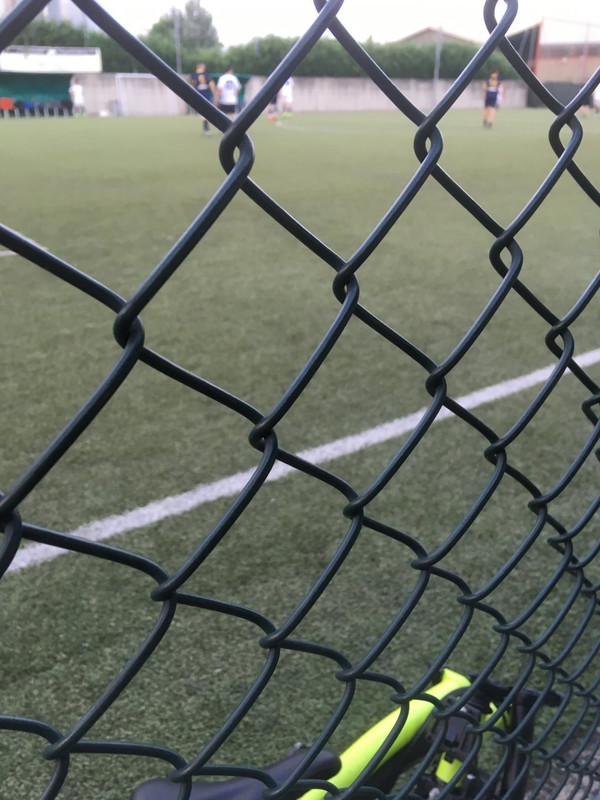 IMG_1790 (FILEminimizer)