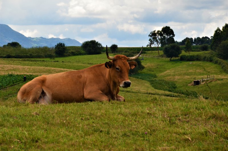 LASTRES-1-9-2017-ASTURIAS - Los pueblos más bonitos de España-2010/2023 (86)