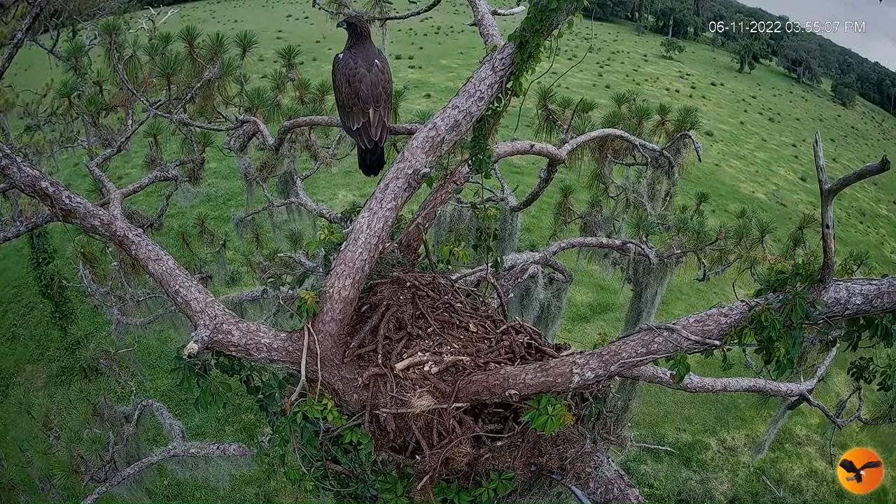 EC 4K Overhead Cam 7-41-34 screenshot