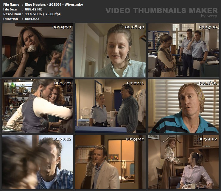 Blue Heelers - S01E04 - Wives.mkv