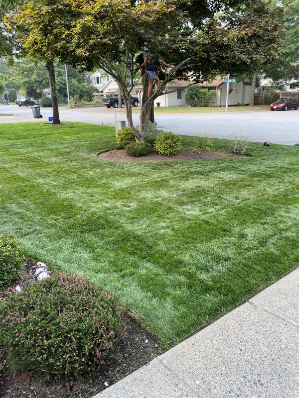 01B48FDB-9152-4C5B-B770-8E2200E5928B