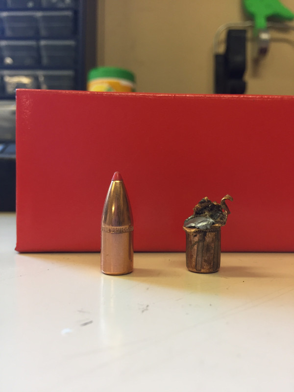 Hornady_200ggr_FTX.jpg