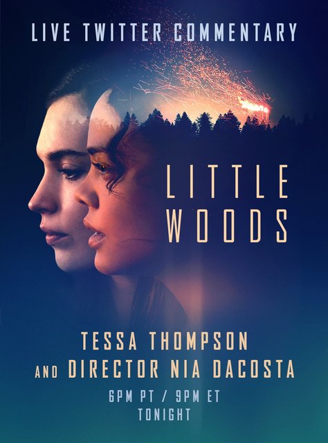 Little Woods (2018) PL.1080p.WEB-DL.H264-wasik / Lektor PL