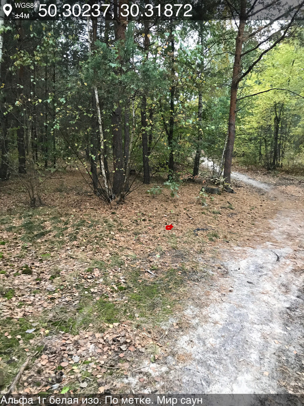 99BD9ED1-5EB5-45AE-BDCE-34265B14C91F