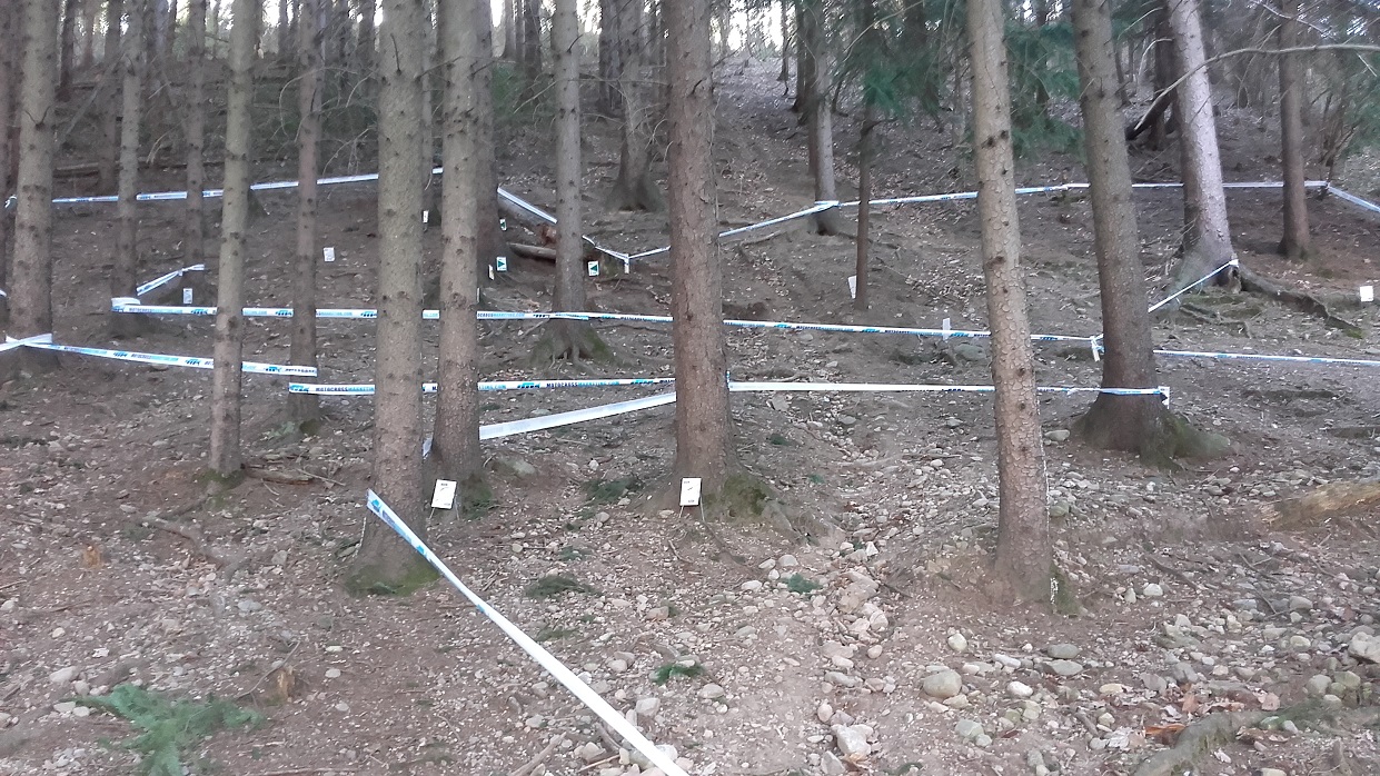 trial-marzo-2019-cairatese-zona-minitrial