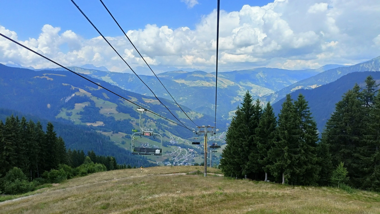 IMG20250713140221 (Large)