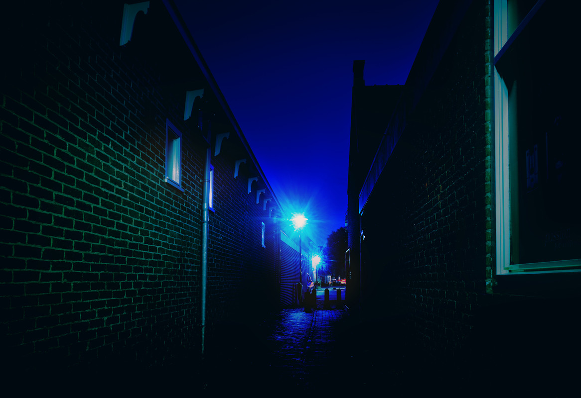 Fotografie