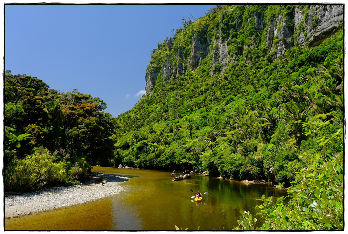 Paparoa NP: Paparoa Track (diciembre 2024) - Escapadas y rutas por la Nueva Zelanda menos conocida (51)