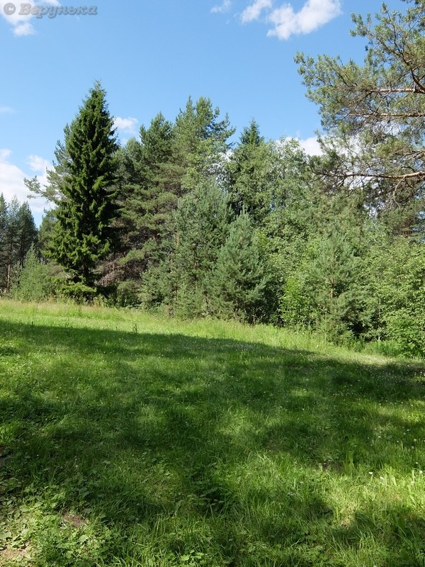 DSCF8850