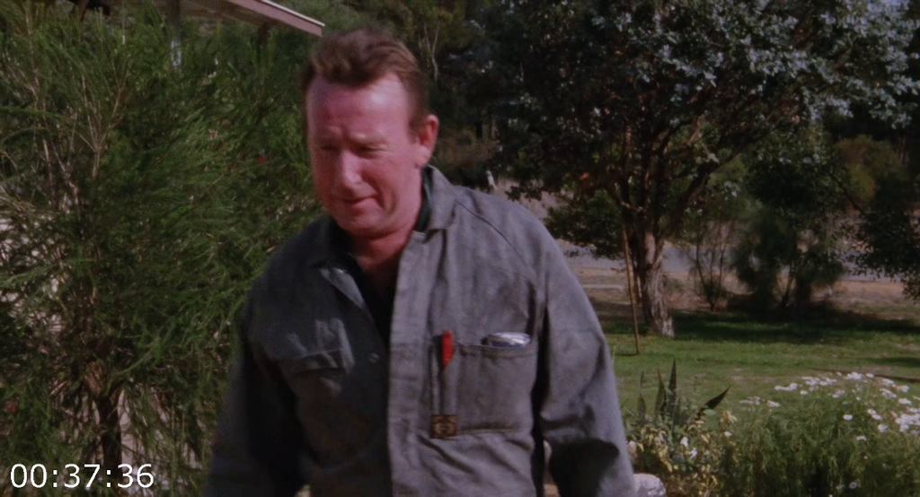 [Kép: Shame-1988-1080p-Blu-Ray-HEVC-BONE-F.png]