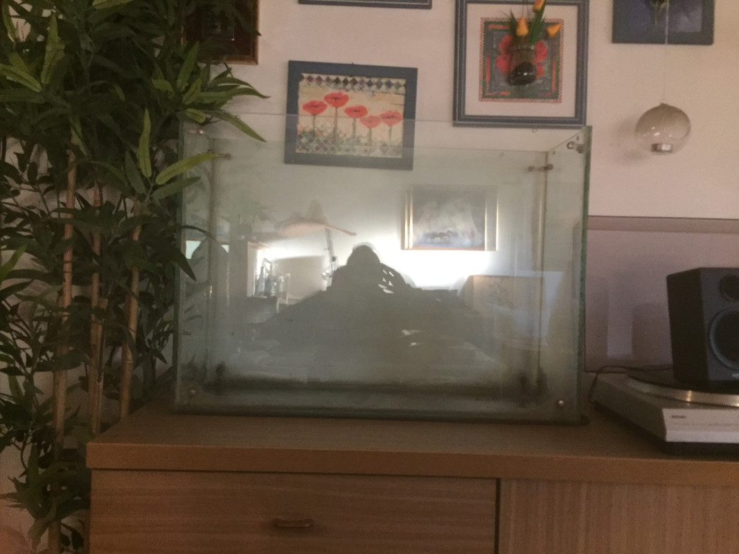 3E77AD5C-8F1F-48AE-92AF-DD8B09150BC1