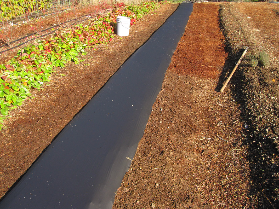 downloaded 110919 035