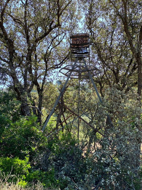 PHOTO-2020-06-14-11-35-23 (3)