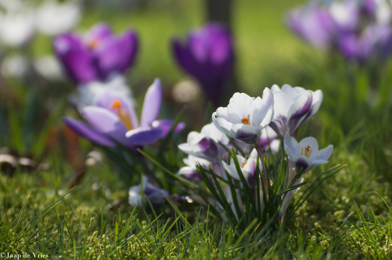 646503700-26888113844147398-6446048367314102764-n