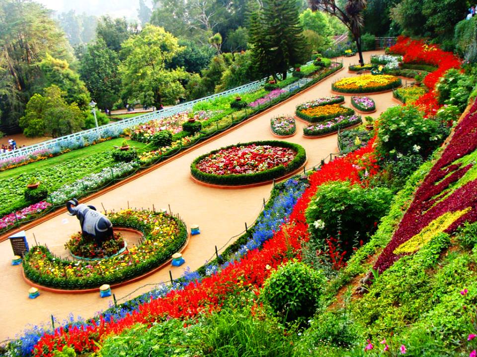 Best Hill Stations to Visit in India During Summer