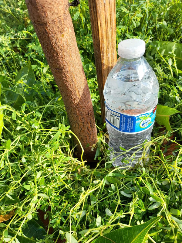 FB_IMG_1691903341022