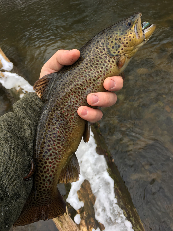 E6B5C199-E608-4BB4-857A-52155E8CBD66