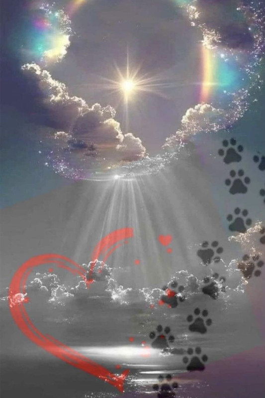 [Image: IMG-0706.jpg]