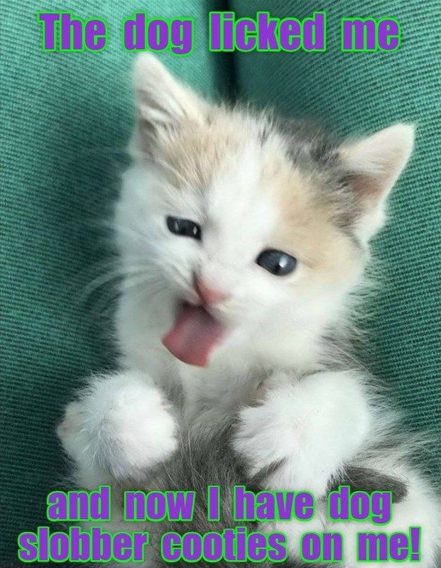 yuk