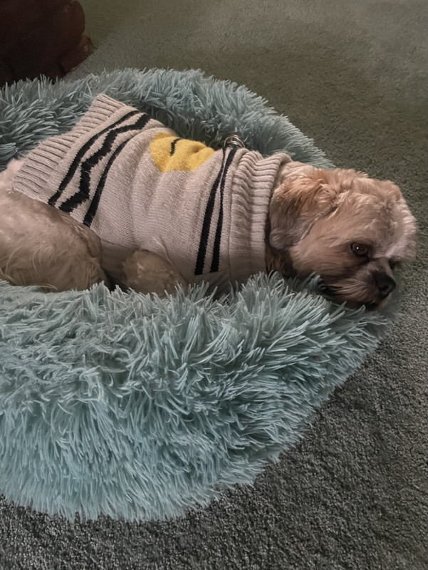 A07-BFC67-C8-DE-4-B89-A203-F3-FC686-F1-D5-B-1-105-c