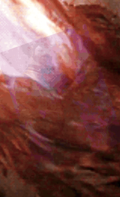 ezgif-50f8e0421266de.gif