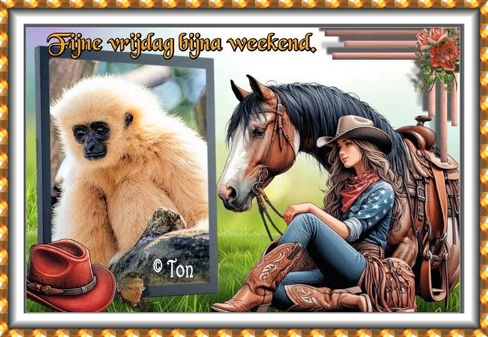 www.krabbelplaatjes.com