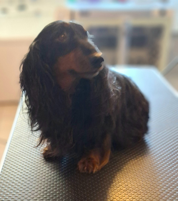 [Image: 20250313-172328.jpg]